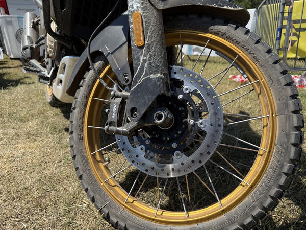 Voge DS800X Rally -static