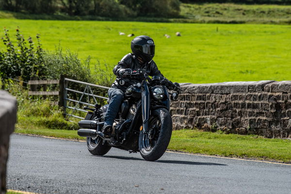 ベンダナポレオンボブ500