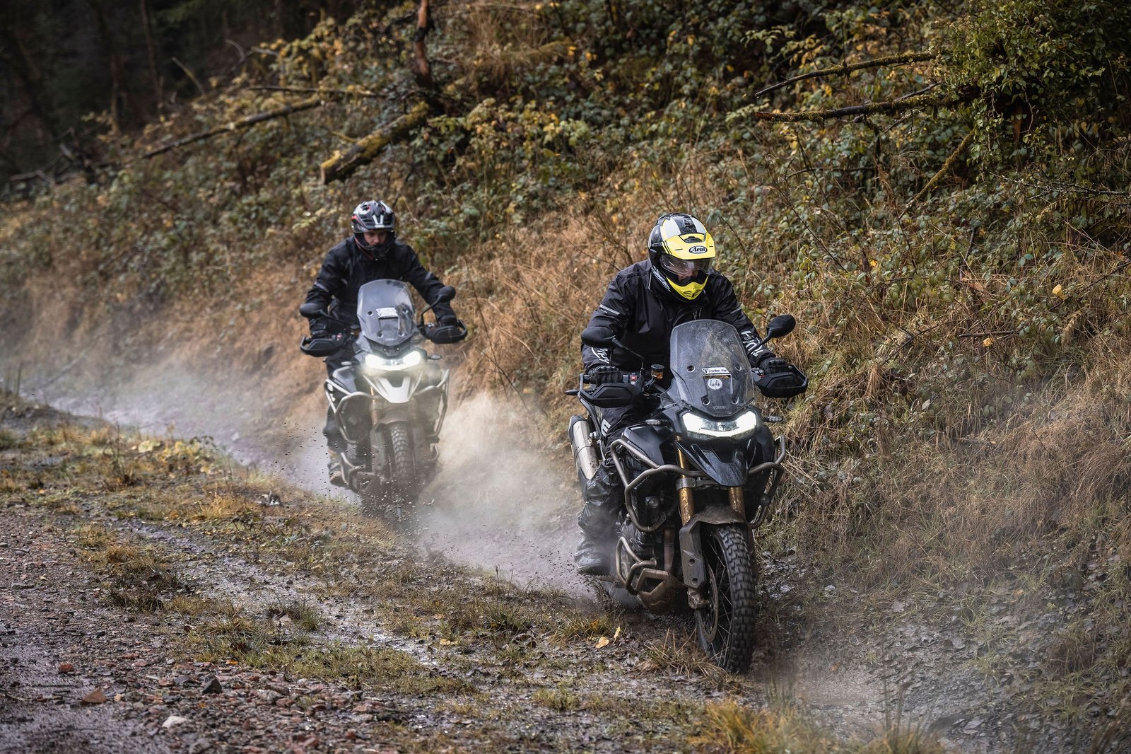 TAEでのTiger 1200