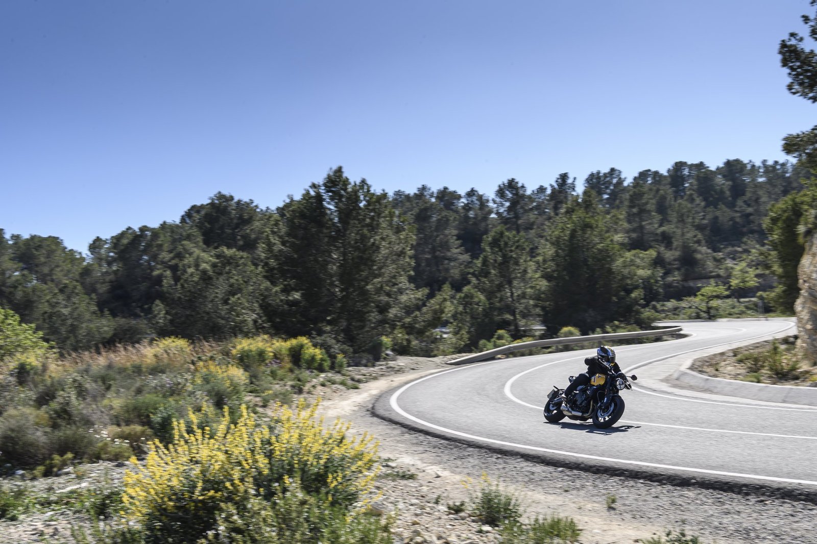 2026 トライアンフ トライデント 660