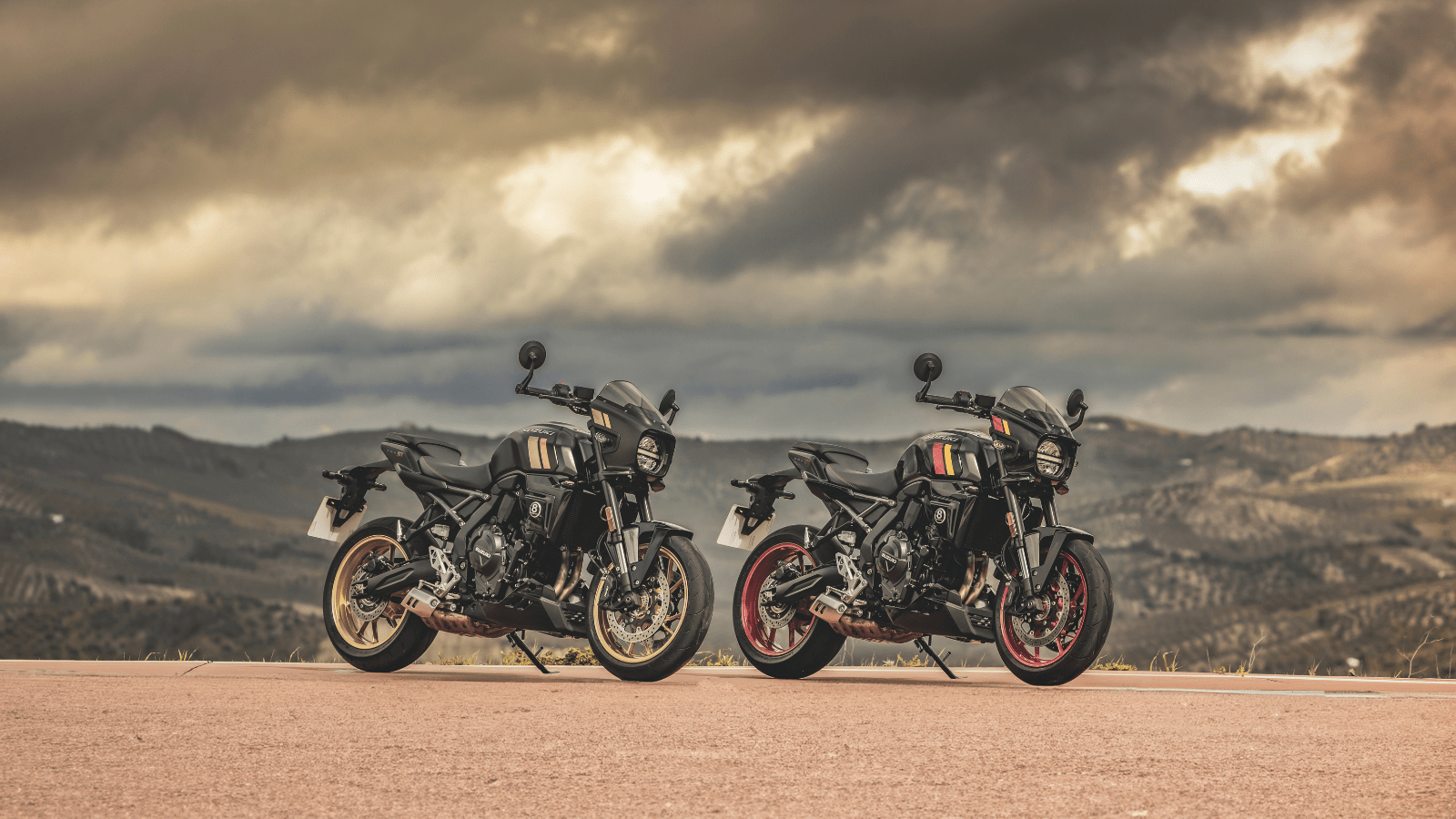 Suzuki GSX-8TT motorcycles