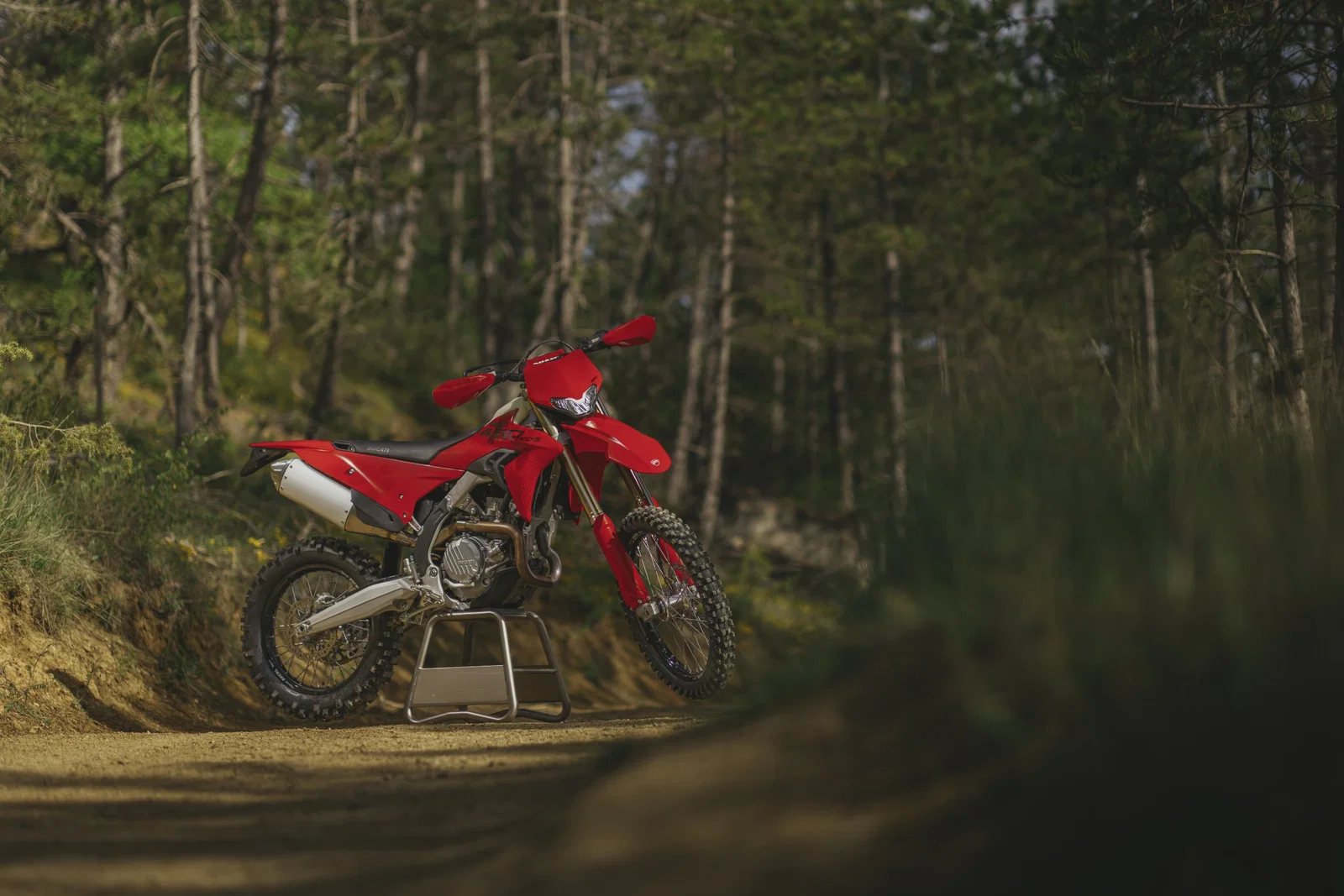 Ducati Desmo450 EDS - 静的