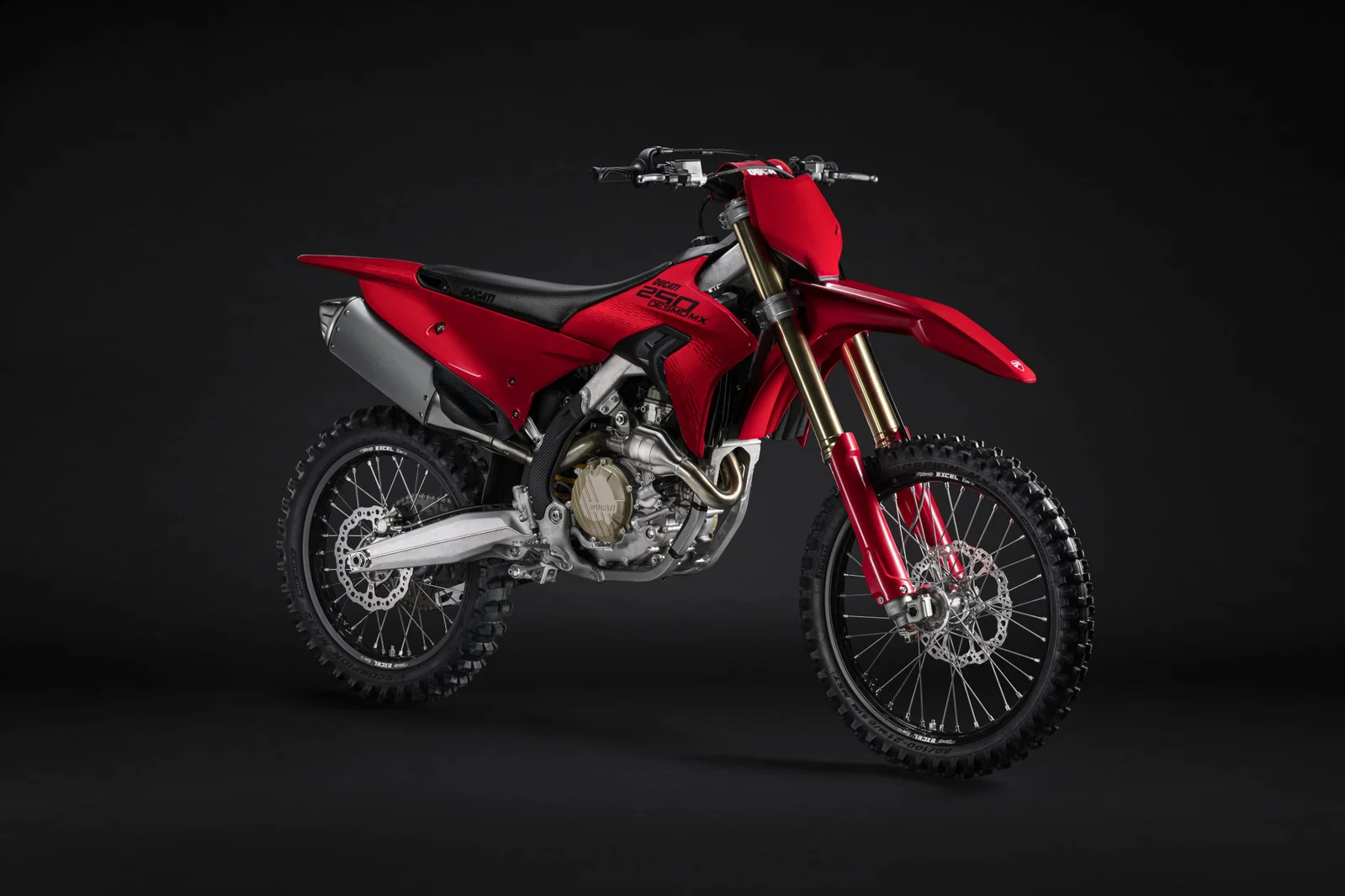 Ducati Desmo250 MX の静的ショット