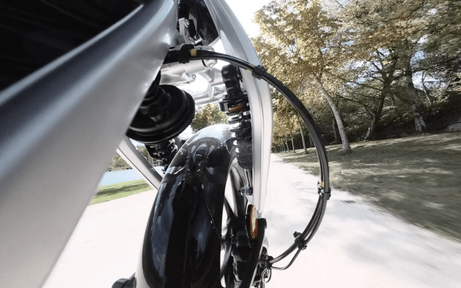 Flying Flea C6のフロントフォーク