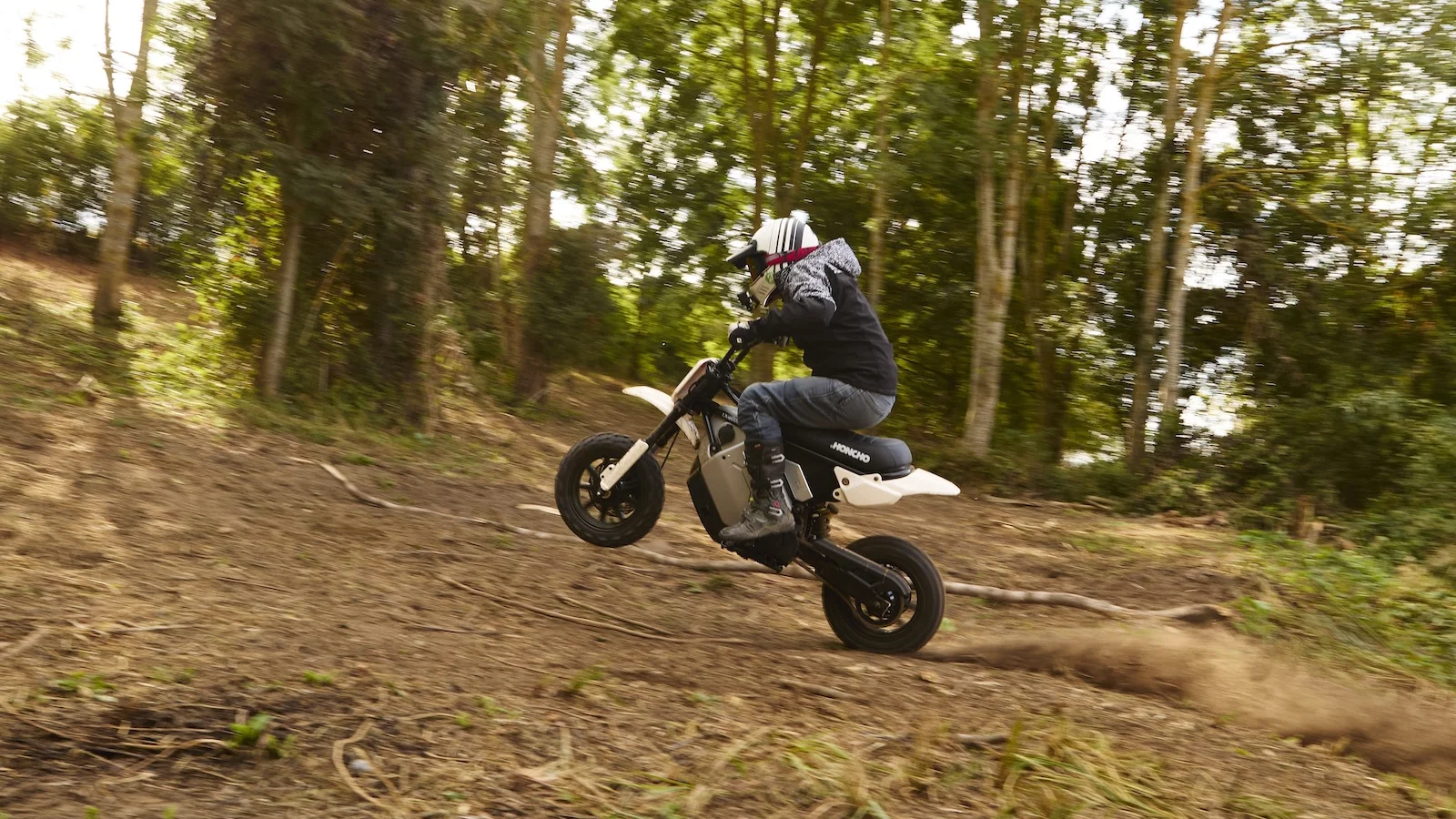 The LiveWire S4 Honcho Trail - riding